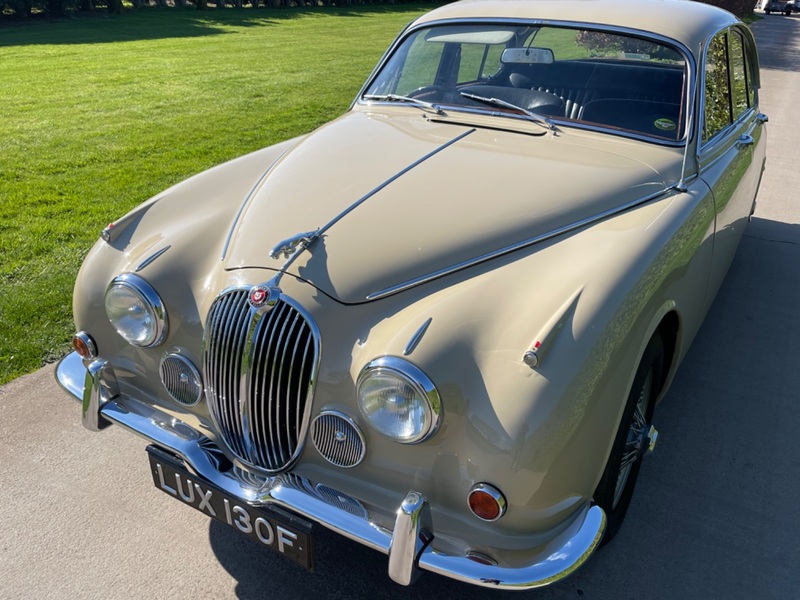 JAGUAR 420